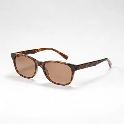 sun readers glasses